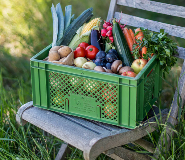 KI generiert: Eine grüne Kiste mit frischem Obst und Gemüse steht auf einem Stuhl im Freien.