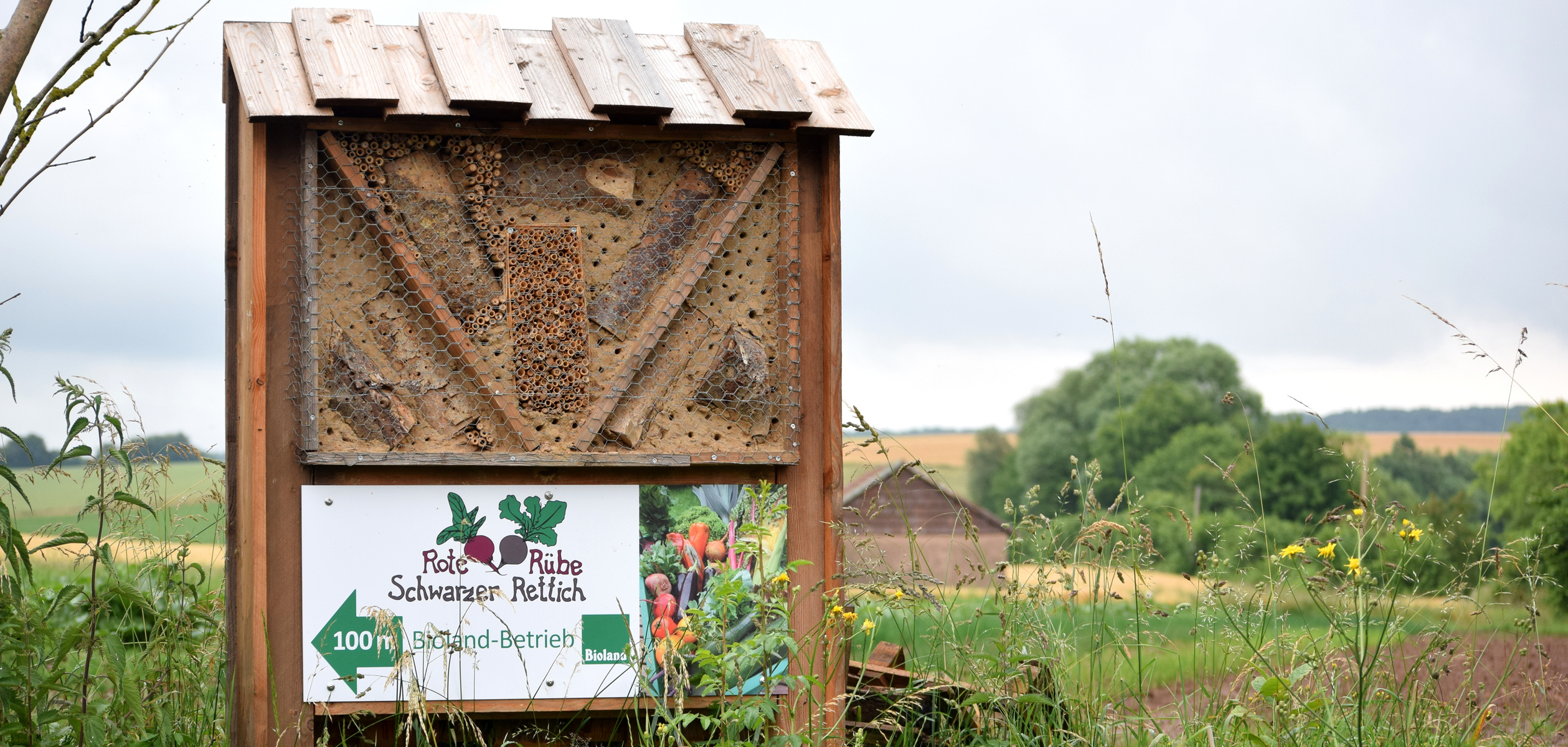 Insektenhotel