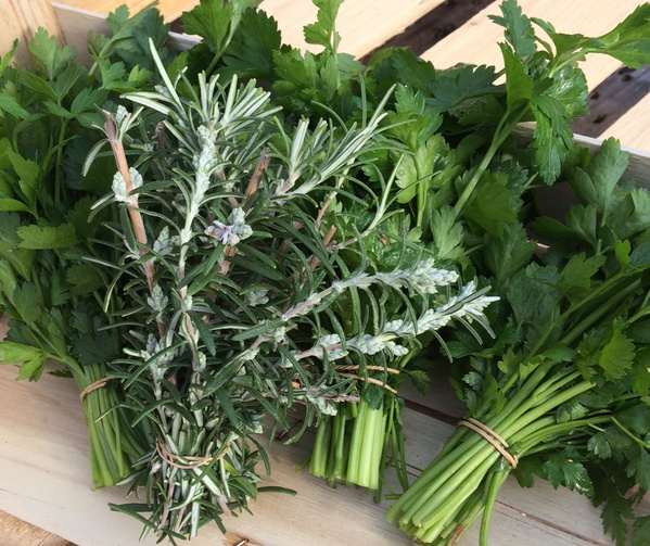 KI generiert: Ein Korb mit frischen Kräutern, darunter Bund Rosmarin und Petersilie.