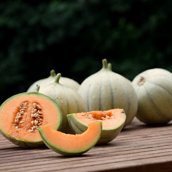 Charentais-Melone