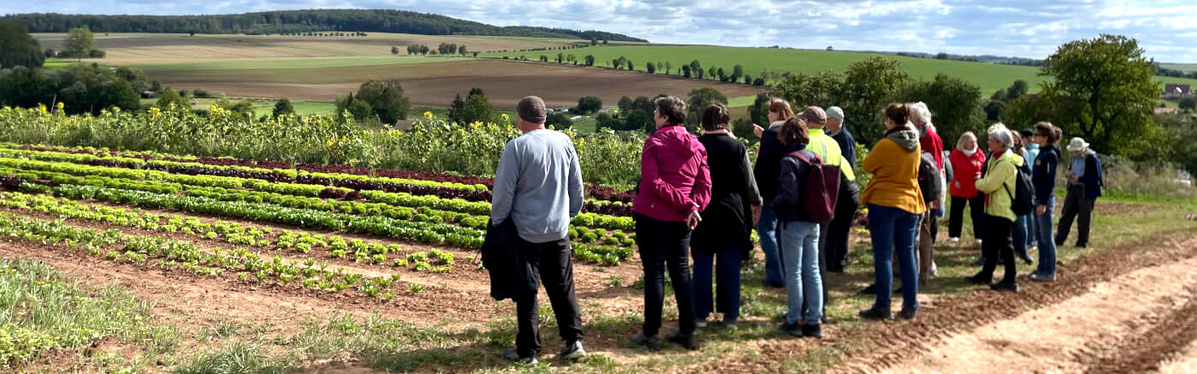 Gruppe auf dem Acker