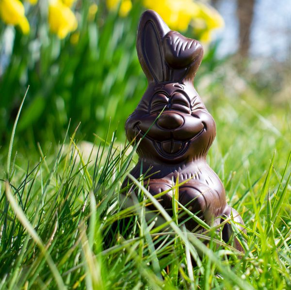 KI generiert: Ein Schokoladenhase steht im Gras, umgeben von gelben Narzissen.
