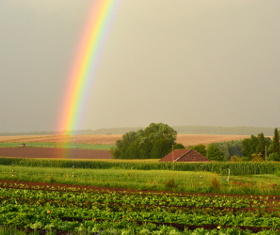 Regenbogen über Gärtnerei