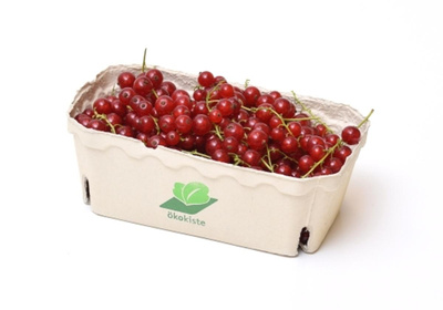 Produktfoto zu Rote Johannisbeeren ca. 500g