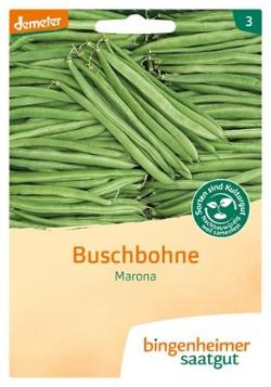 Produktfoto zu Buschbohne Saatgut