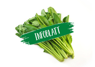 Produktfoto zu Infoblatt Komatsuna