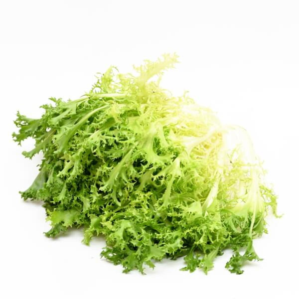 Produktfoto zu Salat, Frisee