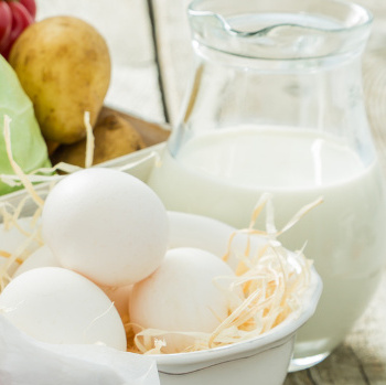 Milch & Eier