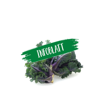 Produktfoto zu Infoblatt Flower Sprouts
