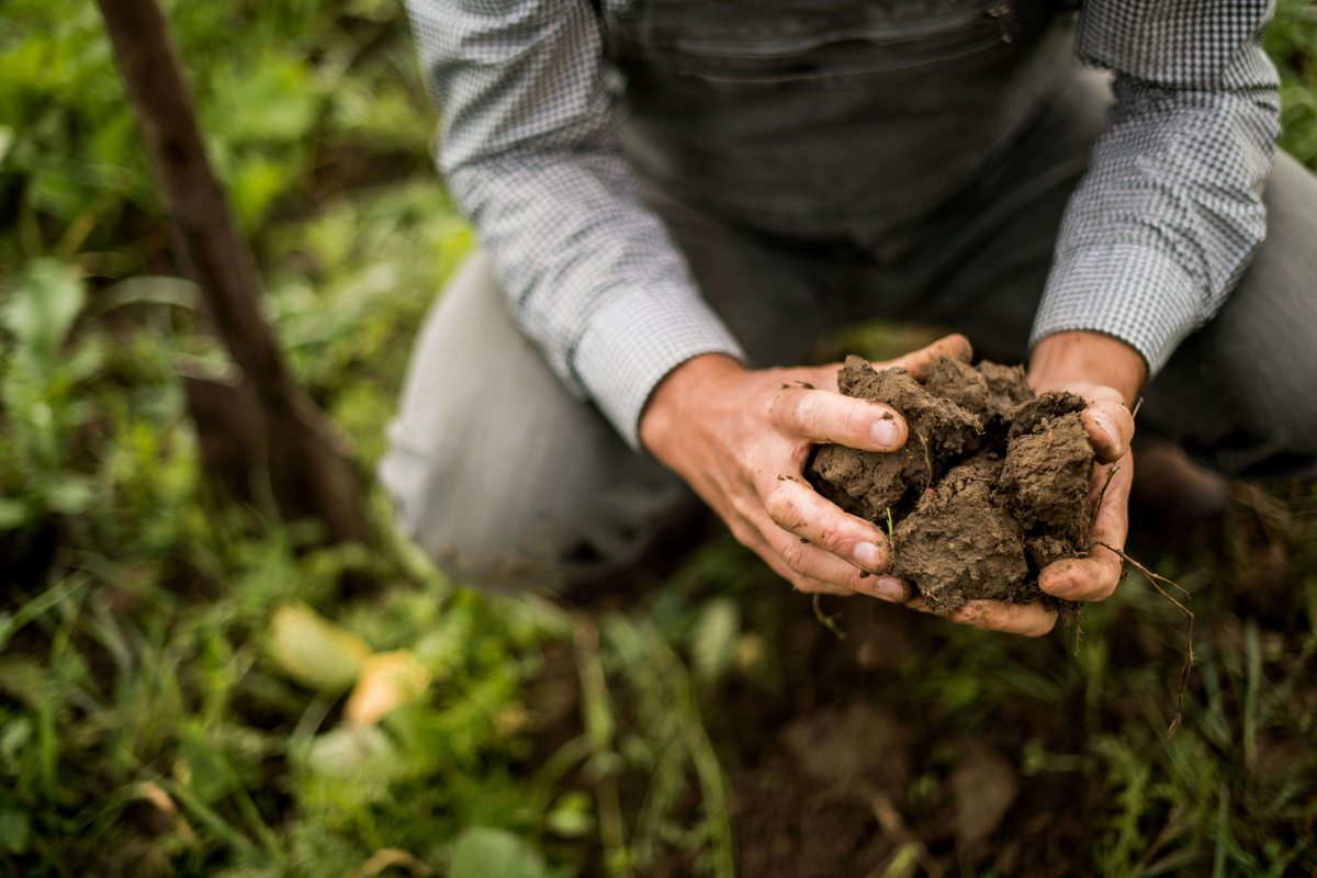 Frische Bio-Erde auf dem Acker