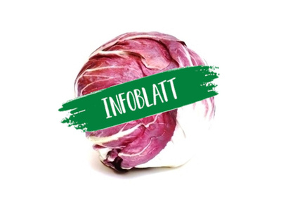 Produktfoto zu Infoblatt Radicchio