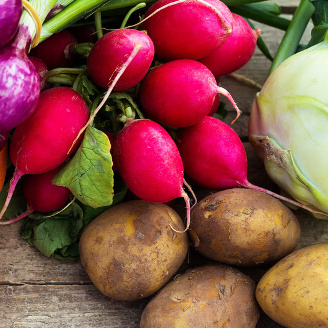 Gemüse aus der Region