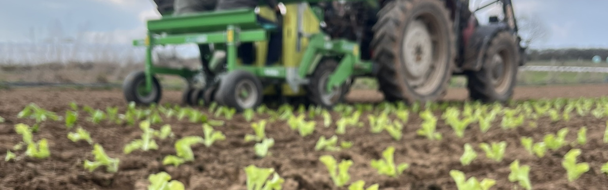 KI generiert: Ein Traktor pflanzt junge Setzlinge auf einem Feld.