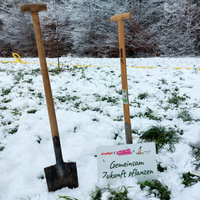 Gemeinam Zukunft pflanzen