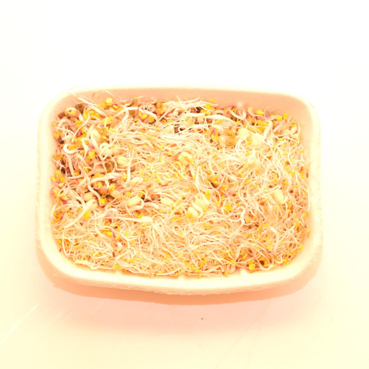Vitasprossen-Mischung 100g