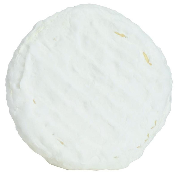 Produktfoto zu weiße Kornblume