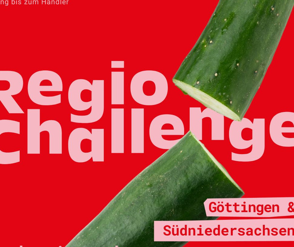 KI generiert: Zwei braune Flaschen Voelkel Bio Kombucha, Sorten Limette Ingwer und Original, auf farbigem Hintergrund.
