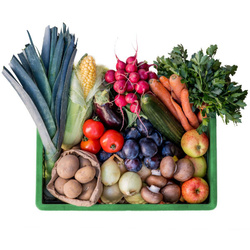 Produktfoto zu Regionalkisten