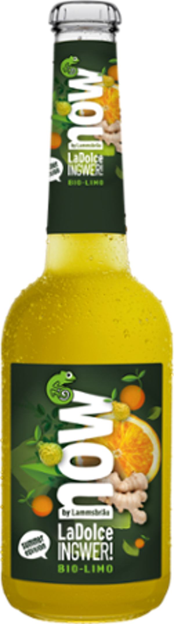 Produktfoto zu Kiste now Dolce Ingwer 10x0,33l