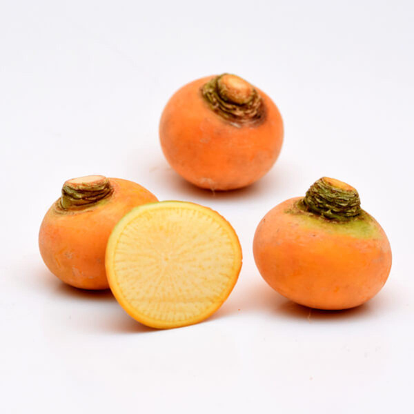 Produktfoto zu Rübchen Goldball