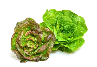 Produktfoto zu Salat, Mini-Romana