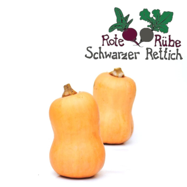 Produktfoto zu Kürbis Butternut, klein