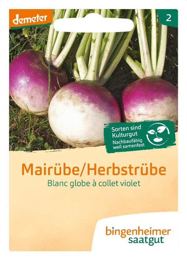 Produktfoto zu Mairübe Saatgut