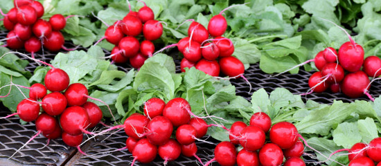 KI generiert: Frische Radieschen mit grünen Blättern auf einem Gitter ausgelegt.