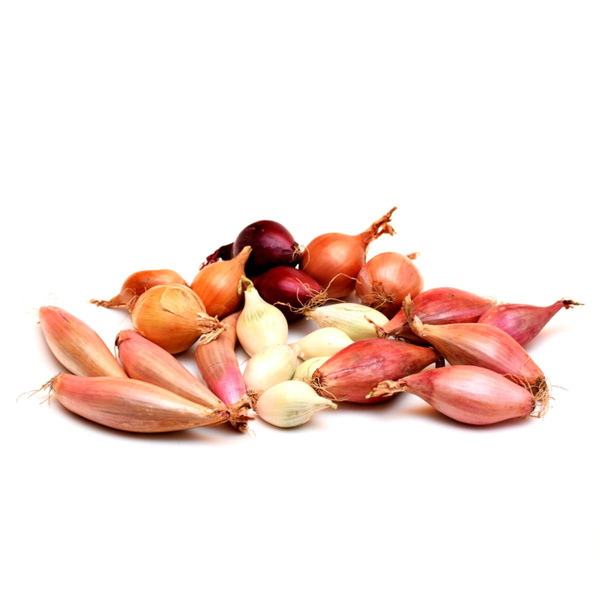 Produktfoto zu Zwiebel Bunte Tüte 1kg