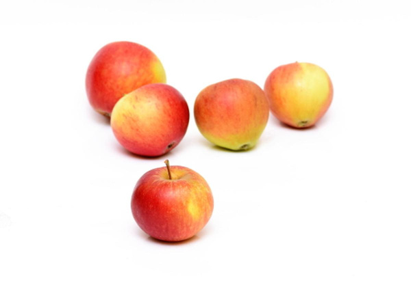 Produktfoto zu Apfel d. Woche (1) Elstar