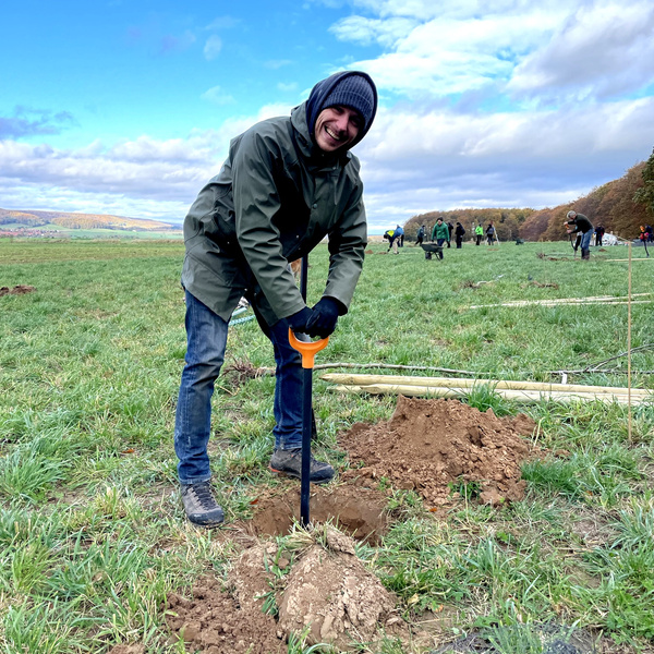 ein tatkräftiger Helfer beim Bäume Pflanzen