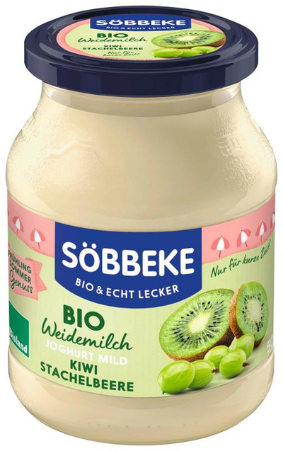 Produktfoto zu Joghurt Kiwi Stachelbeere