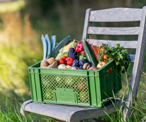 KI generiert: Eine grüne Kiste mit frischem Obst und Gemüse steht auf einem Holzstuhl.