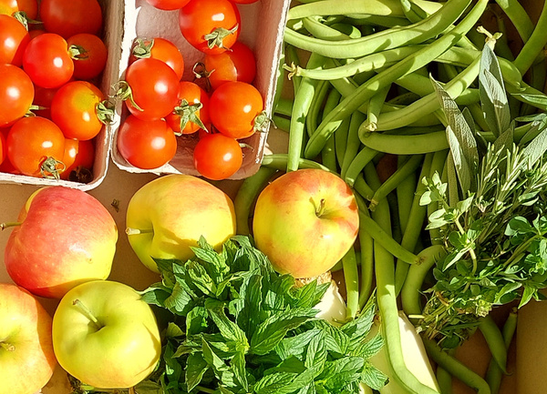 KI generiert: Frisches Gemüse und Obst: Tomaten, Äpfel, grüne Bohnen und Kräuter.