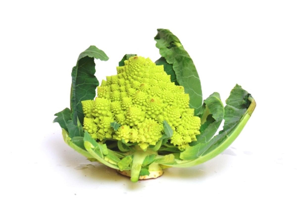 Produktfoto zu Romanesco, eher kleine Köpfe