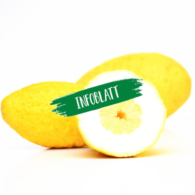 Produktfoto zu Infoblatt Cedro