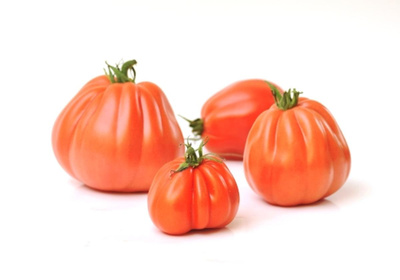 Produktfoto zu Fleischtomate Ochsenherz