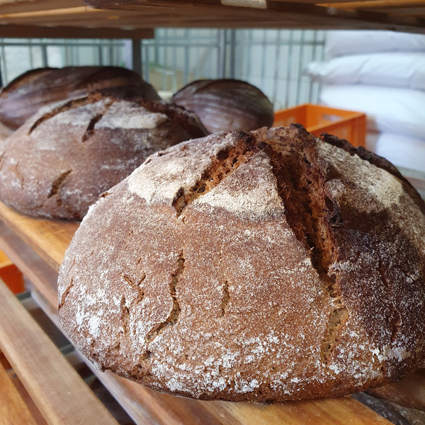 Brotlaib in der Backstube