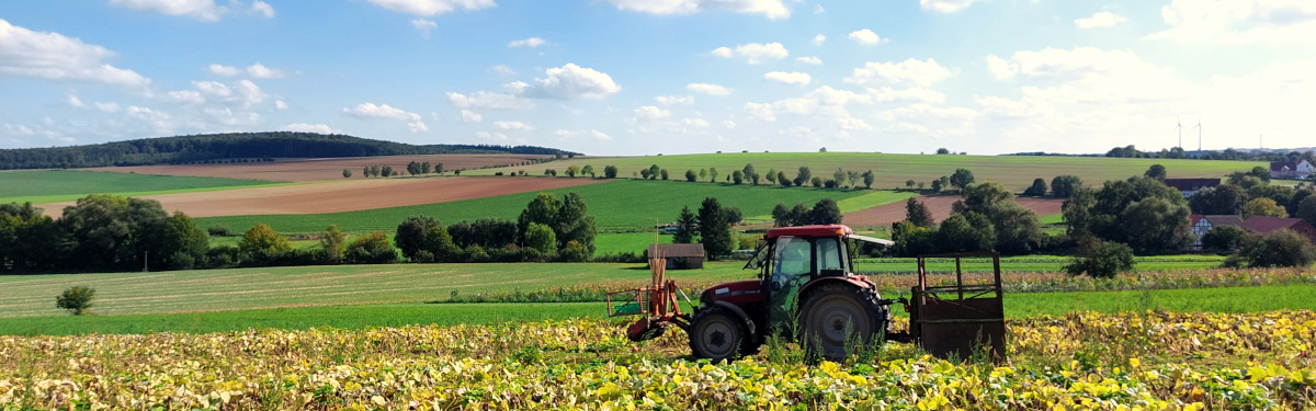 Traktor auf dem Feld bei der Ernte