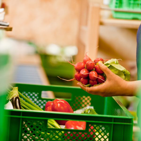 Radieschen in die Biokiste packen
