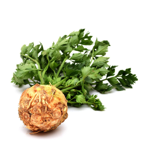 Produktfoto zu Knollensellerie Stück mit Grün