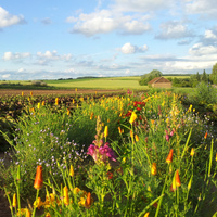 Sommerführung durch unsere Gärtnerei