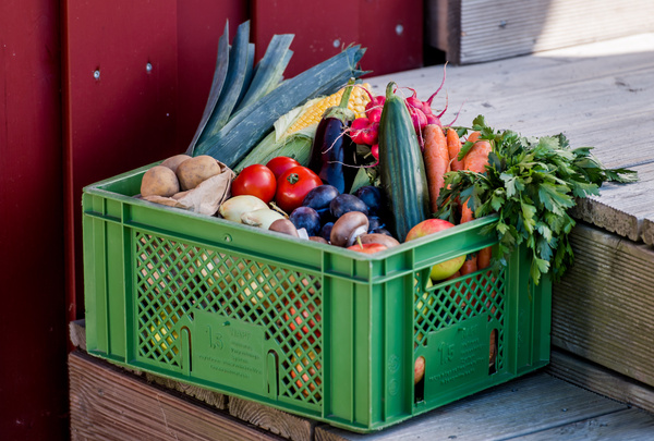 KI generiert: Eine grüne Kiste voller frischem Gemüse und Obst, auf Holzstufen platziert.
