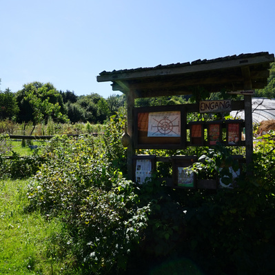 Schaugarten Schönhagen
