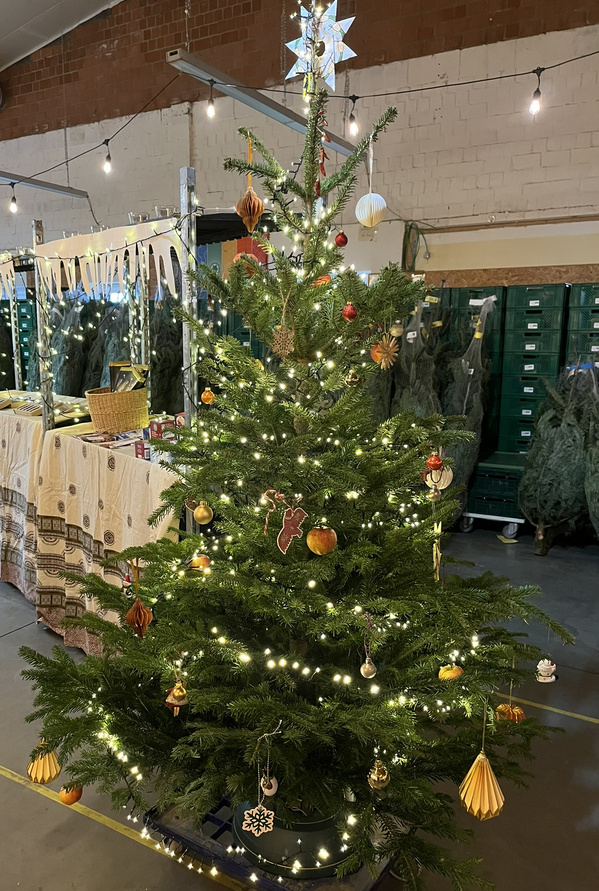 KI generiert: Weihnachtsbaum mit Lichtern und Dekoration in einer Halle.