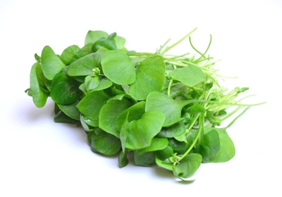 Produktfoto zu Postelein 500g-Tüte