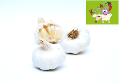 Produktfoto zu Knoblauch getrocknet