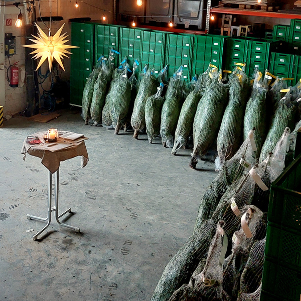 KI generiert: Verpackte Weihnachtsbäume in einem Lager mit Weihnachtsbeleuchtung und einem Tisch mit Kerze.