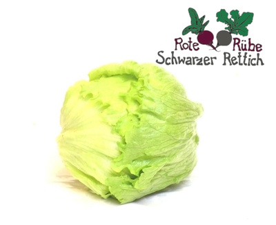 Produktfoto zu Salat, Eissalat