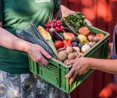 Regiokiste Aktion Ökokiste September